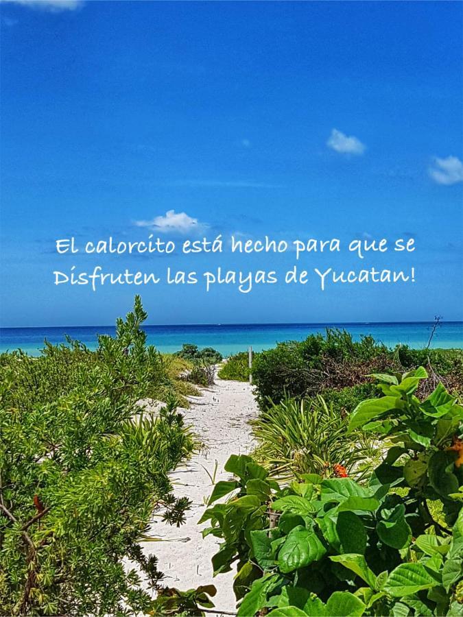 La Casa Del Mangle Villa Chicxulub Ngoại thất bức ảnh