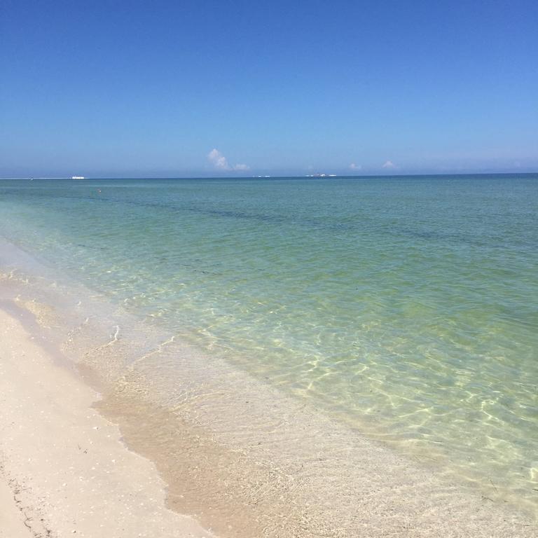 La Casa Del Mangle Villa Chicxulub Ngoại thất bức ảnh