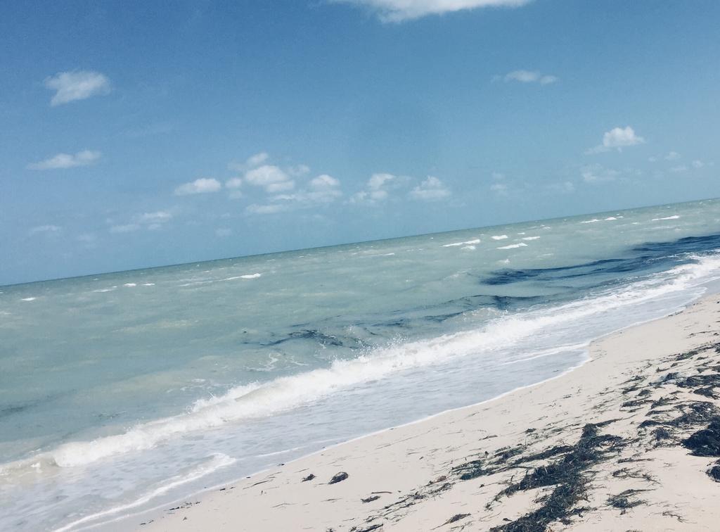 La Casa Del Mangle Villa Chicxulub Ngoại thất bức ảnh