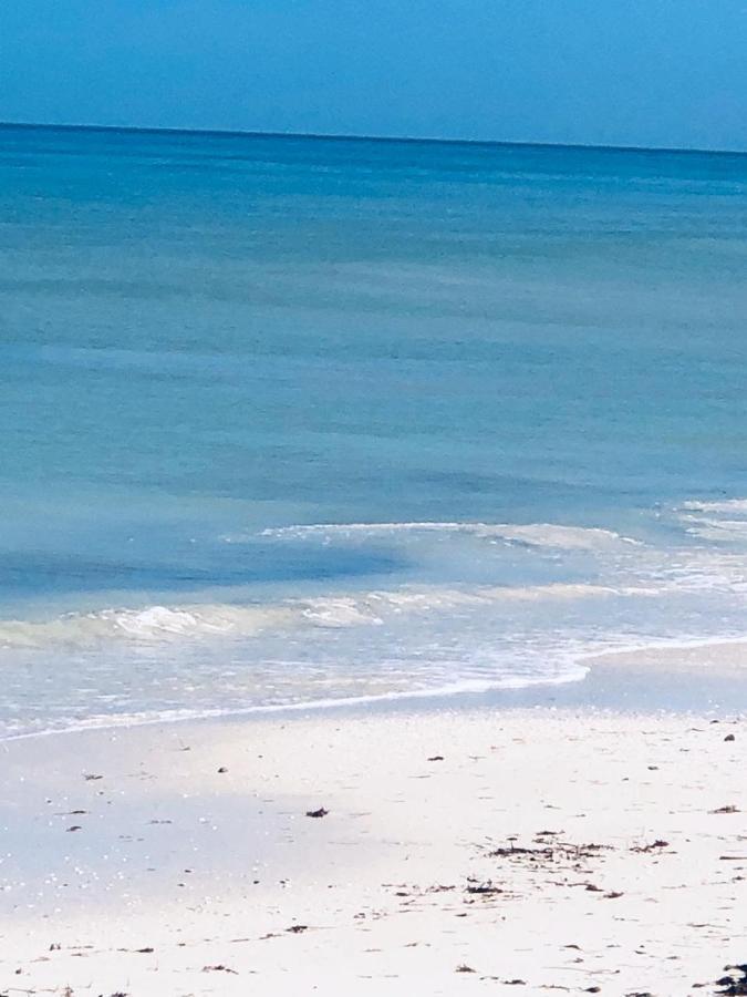 La Casa Del Mangle Villa Chicxulub Ngoại thất bức ảnh